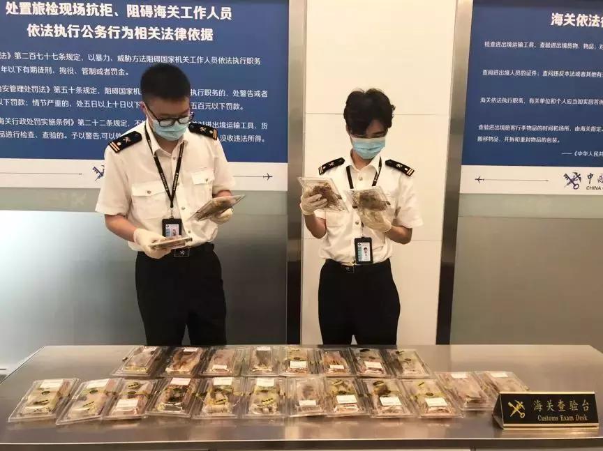 个人出国旅游可以带燕窝入境吗,出境游能带燕窝回来吗