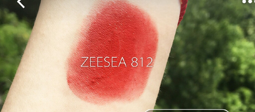 终于来了，适合黄黑二号的国货口红分享,2