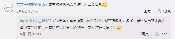 流浪狗伤人报警后怎么处理,流浪狗想咬人被打了违法吗