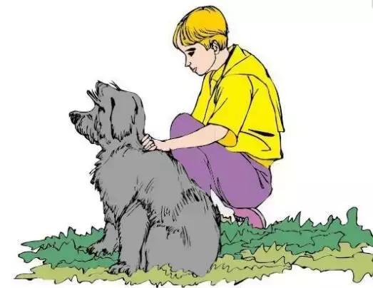 流浪狗伤人报警后怎么处理,流浪狗想咬人被打了违法吗