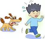 流浪狗伤人报警后怎么处理,流浪狗想咬人被打了违法吗