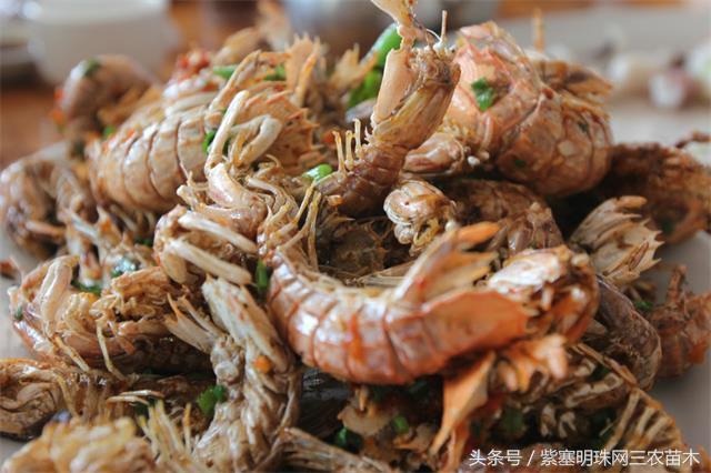 辽宁农家乐旅游攻略,辽宁农家度假村