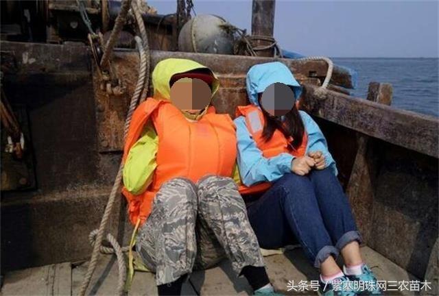 辽宁农家乐旅游攻略,辽宁农家度假村