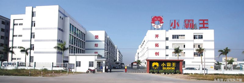 霸王之野望94,霸王之业战国野望苹果版