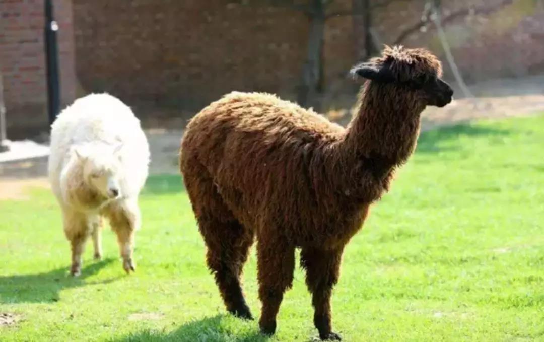 暑假带孩子远离喧嚣，在北京周边寻一处人少景美的地儿