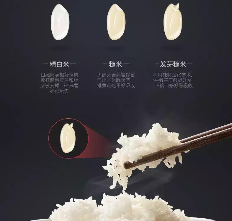 糙米越吃越想吃,糙米饭发芽怎么吃