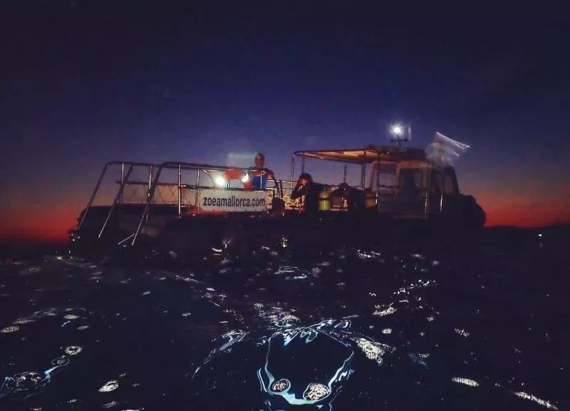 9个技巧，让你轻松搞定夜潜