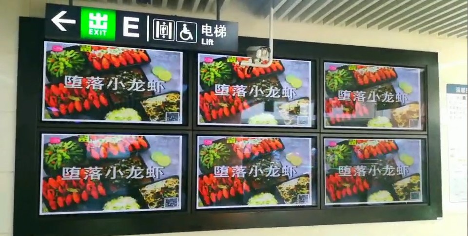 堕落虾是骗局吗,佛山堕落虾