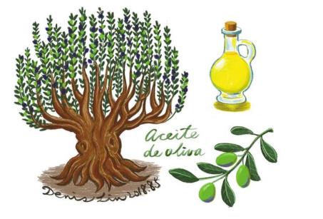 西班牙橄榄油最新消息,西班牙橄榄油优势有哪些