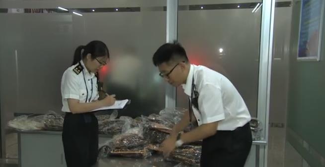 代购lv回来,代购买来的lv可以在官网鉴定吗