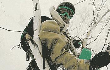 那些你不知道的冷知识搞笑图片,100张幽默搞笑图片