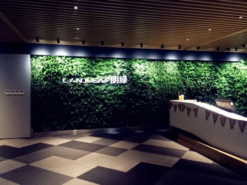 职场人实现梦想的地方—朗绿科技副总裁刘剑钦女士专访