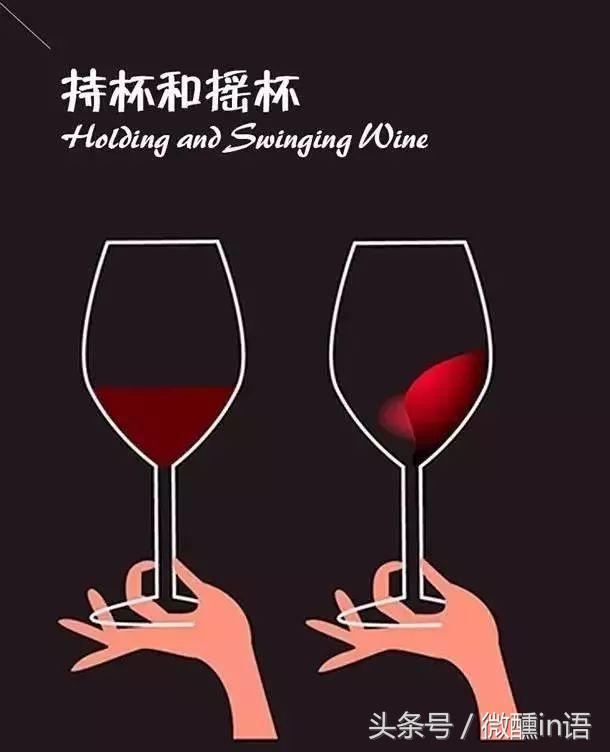 红酒知识大全短视频,红酒知识视频全集