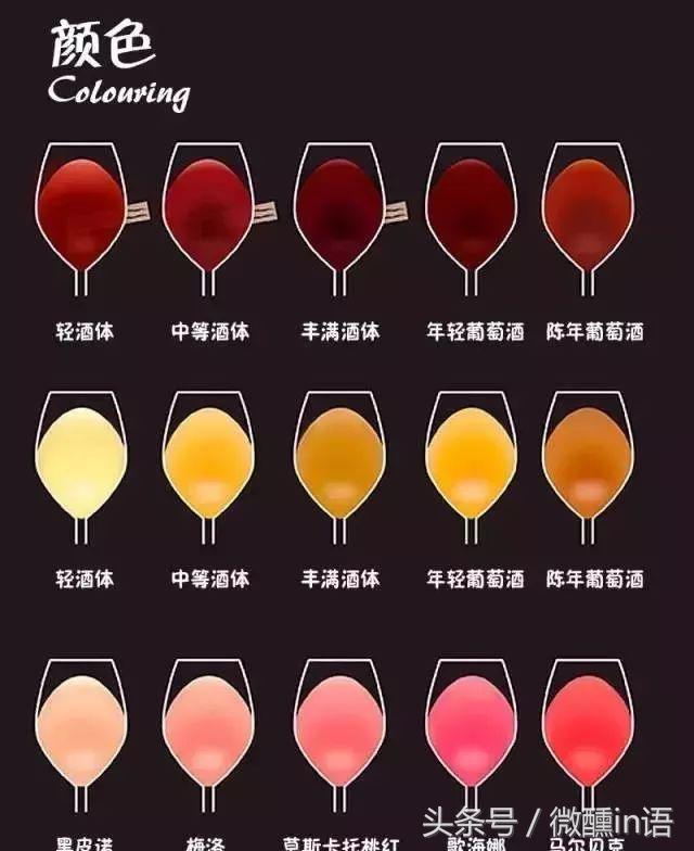 红酒知识大全短视频,红酒知识视频全集