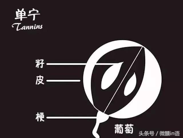 红酒知识大全短视频,红酒知识视频全集