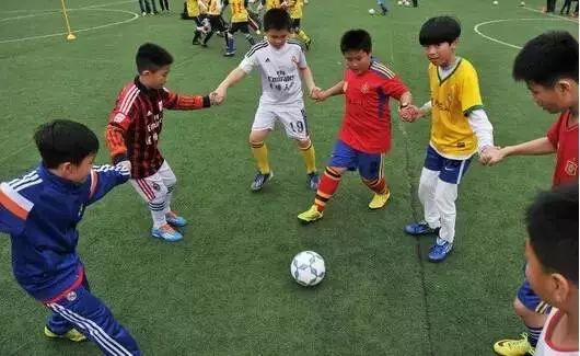 秦皇岛优秀小学,秦皇岛义务教育学校名录