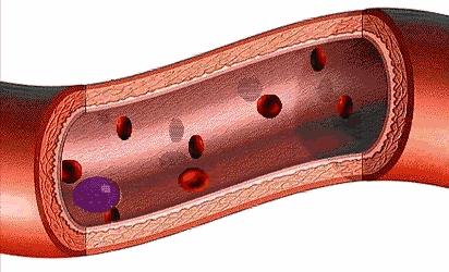 吃糖使人快乐,吃糖造成的衰老可逆吗