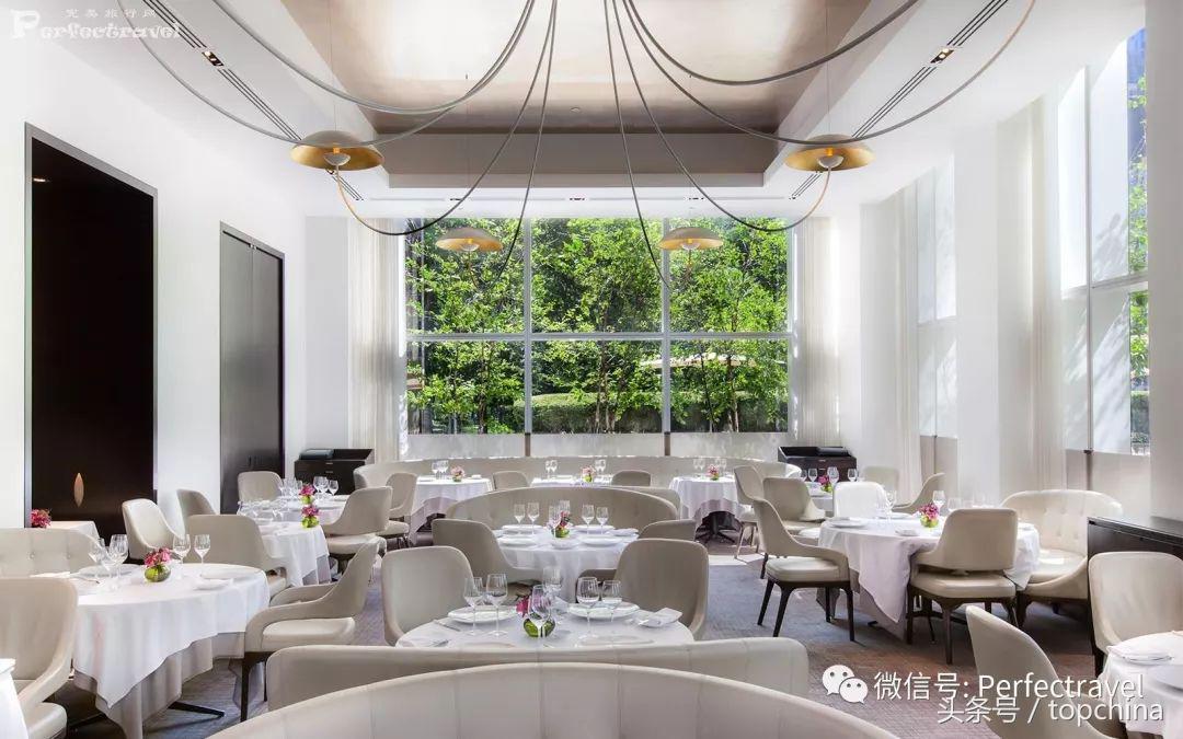 米其林厨神下饭,厨神的美味