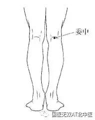 养生贵在坚持经络畅通百病消,养生必须知道的十大通气穴