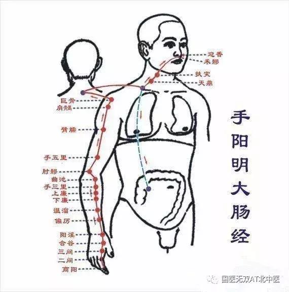 养生贵在坚持经络畅通百病消,养生必须知道的十大通气穴