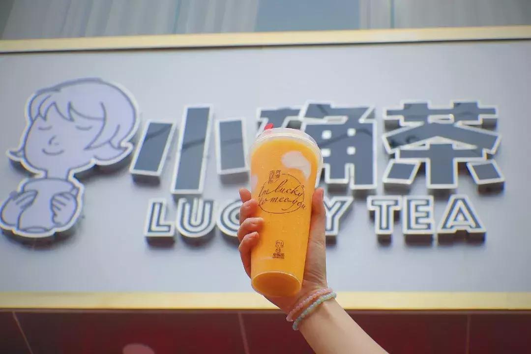 小确茶|抓住夏天的尾巴,喝完这几杯,你的夏天才够圆满!