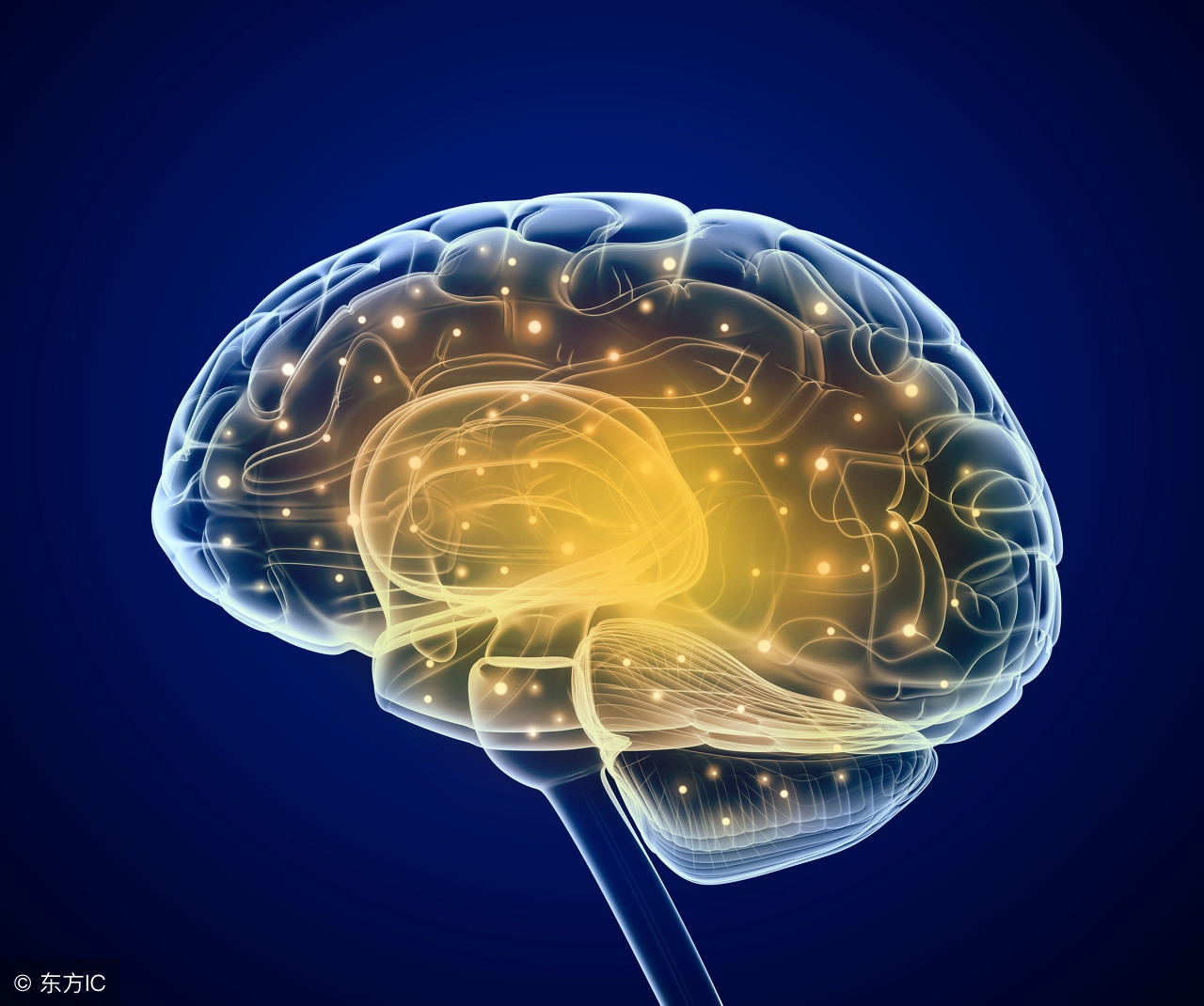 dha孕期指南,法澜秀dha和金凯撒dha哪个好