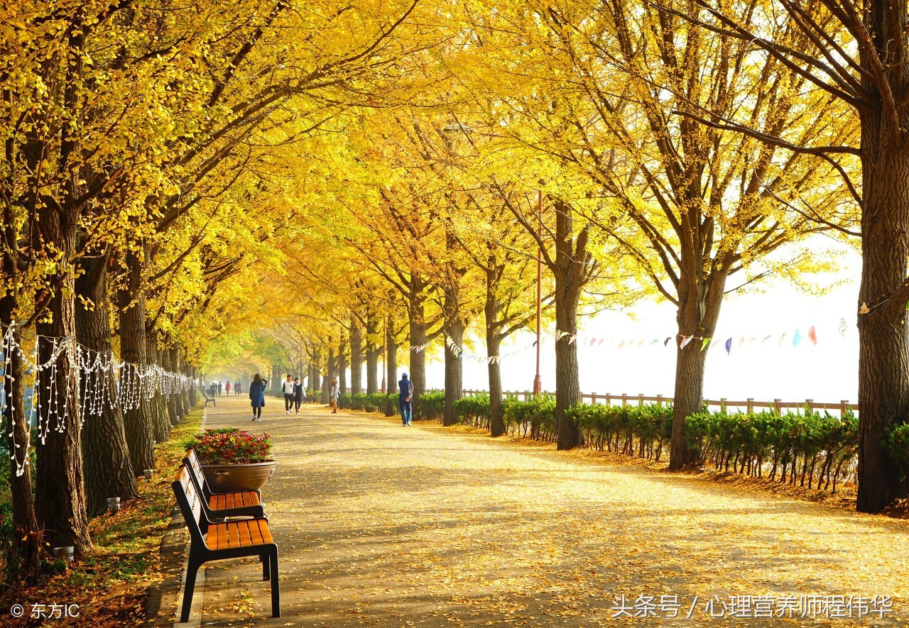 秋天不脱发夏天脱发,秋天脱发严重怎么防治