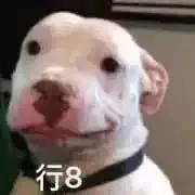 假的dior999,dior999秒杀