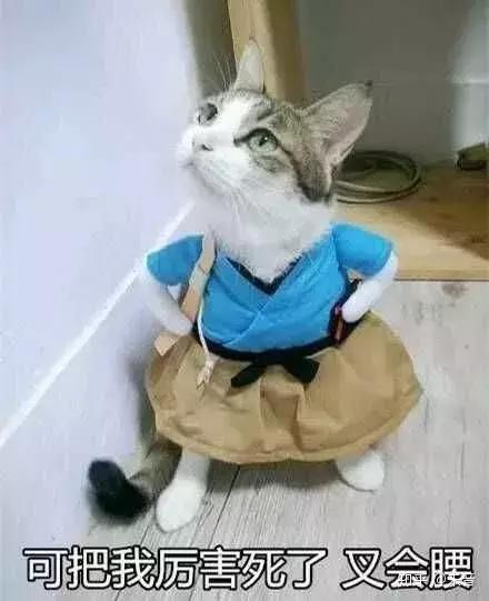 假的dior999,dior999秒杀