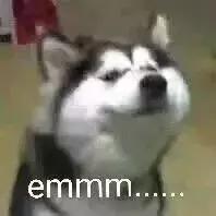 假的dior999,dior999秒杀