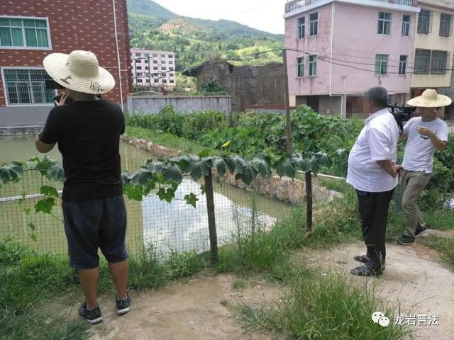 村民养的鱼离奇死亡,村子里的鱼全死了