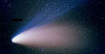 爱犯错的小体比熊宝宝,爱犯错的智能体