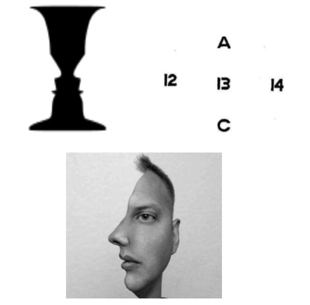 爱犯错的小体比熊宝宝,爱犯错的智能体