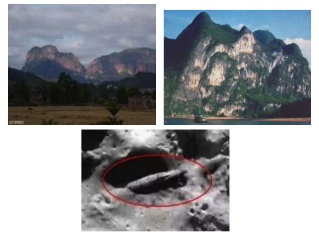 爱犯错的小体比熊宝宝,爱犯错的智能体