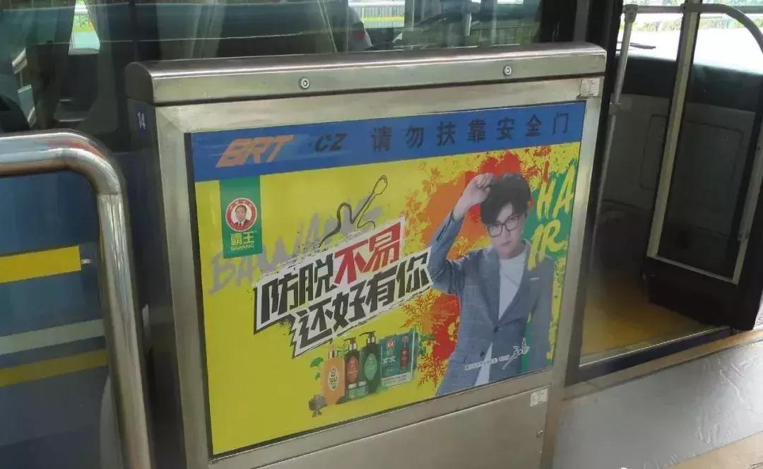 毛不易防脱发产品代言人,霸王洗发水对生发有效吗