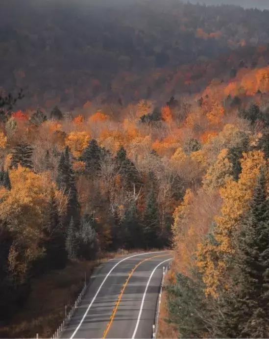 你的坚持终将美好不留遗憾,你的坚持不会被辜负