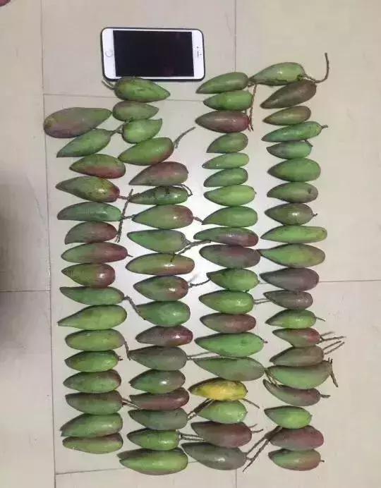 拼多多黄峥讲拼多多模式,拼多多黄峥四点思考