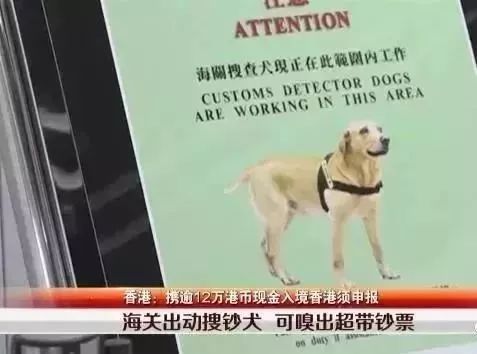 9小时就能到香港嗨皮，票价才1000元？！先别高兴的太早了！