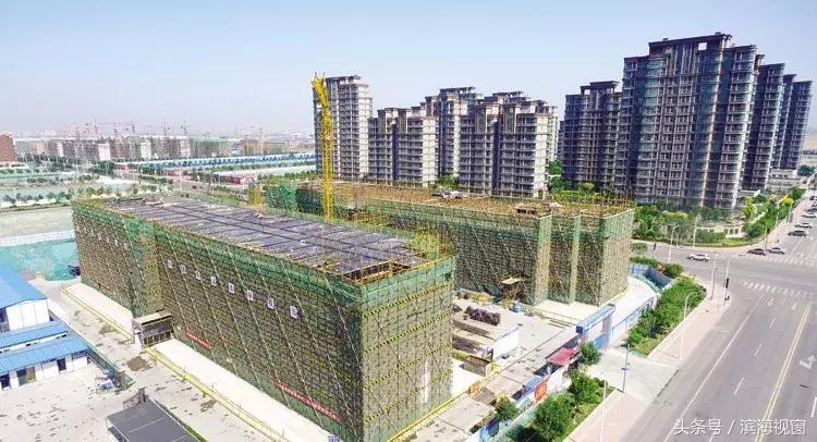 滨海新区教育资源最好的区域,滨海新区教育优势在哪里