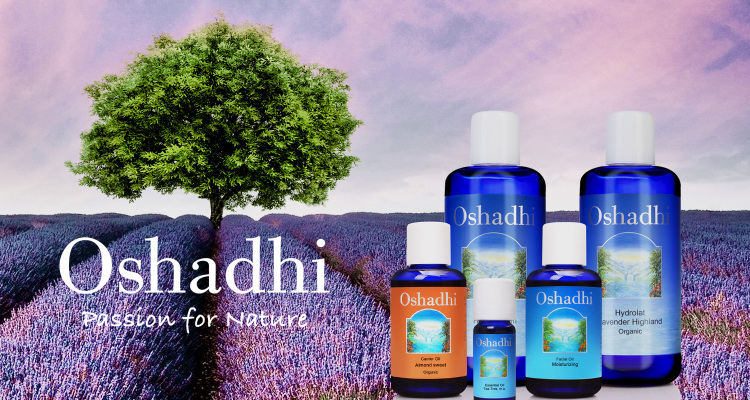 这9个发端于专业线的进口品，代表着高机能与好口碑