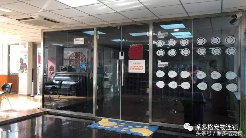 派多格宠物美容学校靠谱吗,派多格宠物店怎么开