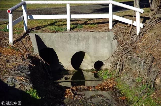 头皮撕脱是什么样子的,头皮撕脱最主要的急救措施是什么