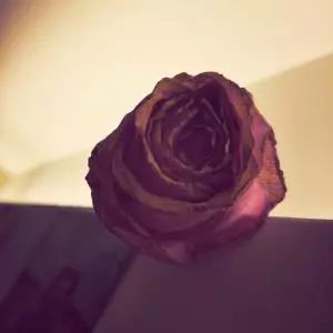 生命权,生命权人身权健康权