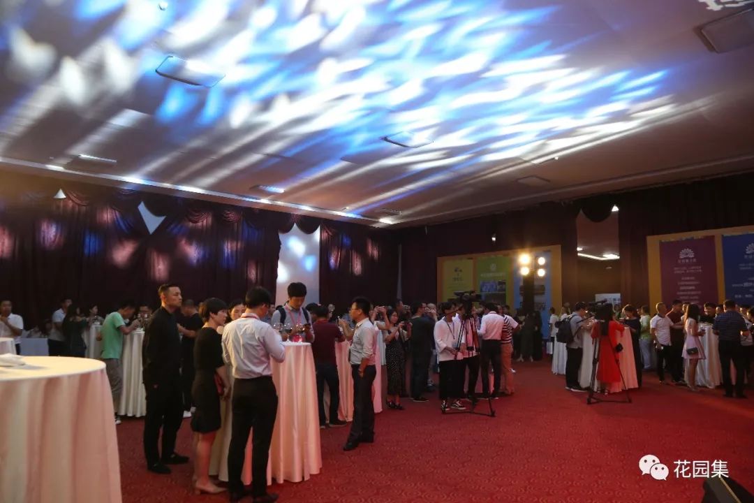 为什么花园设计要有圆和弧形,花园设计师节