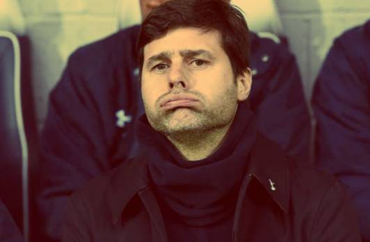 懵逼树上懵逼果的下一句是什么,懵逼树上懵逼果全文是什么意思