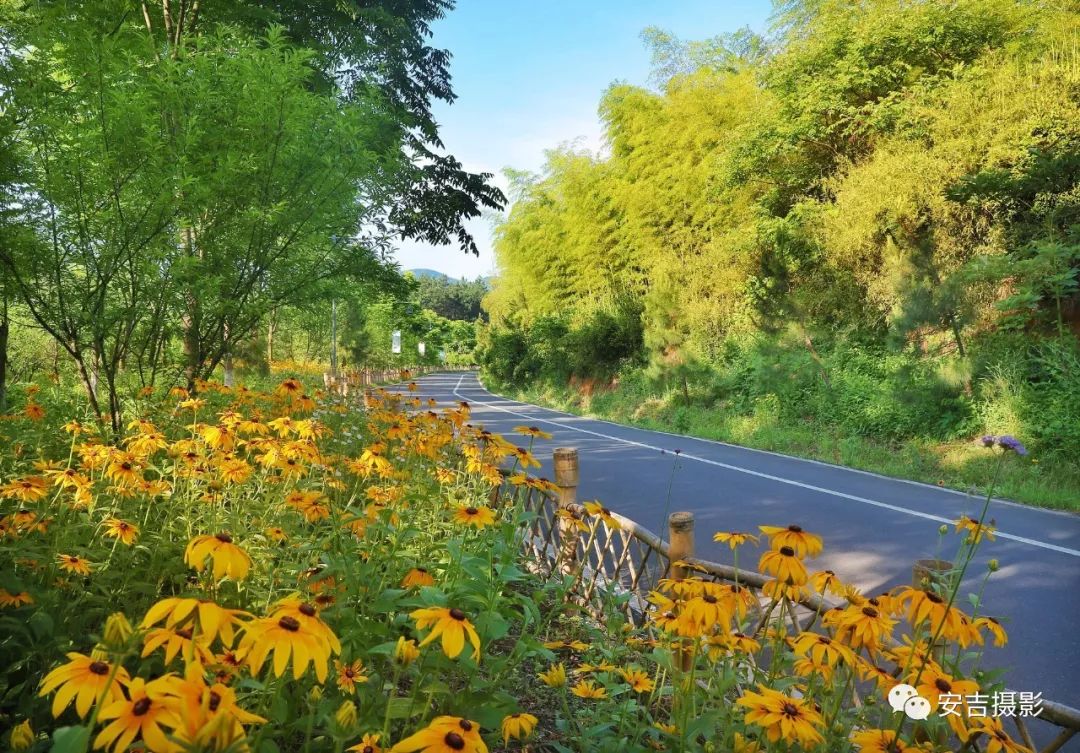 「慢城·分享」美丽乡村精品示范村——刘家塘村｜“蜗牛村”里生活慢