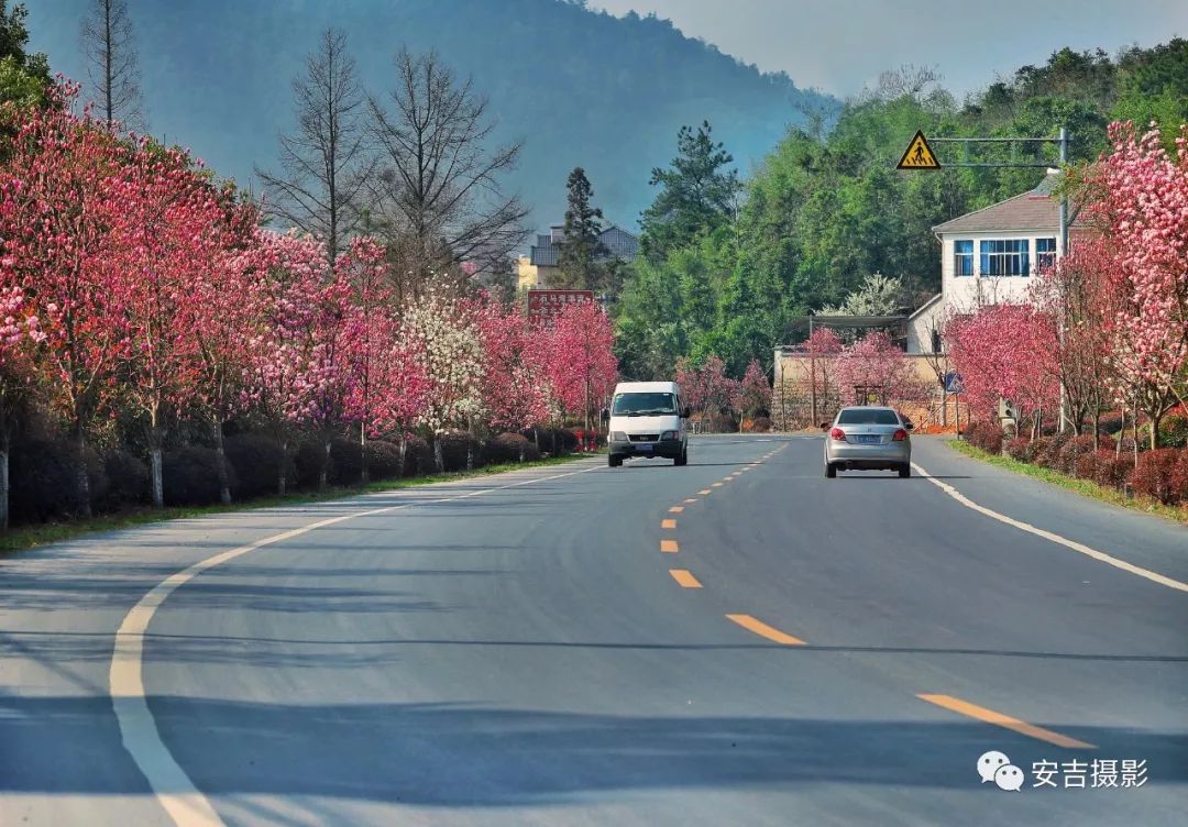 「慢城·分享」美丽乡村精品示范村——刘家塘村｜“蜗牛村”里生活慢