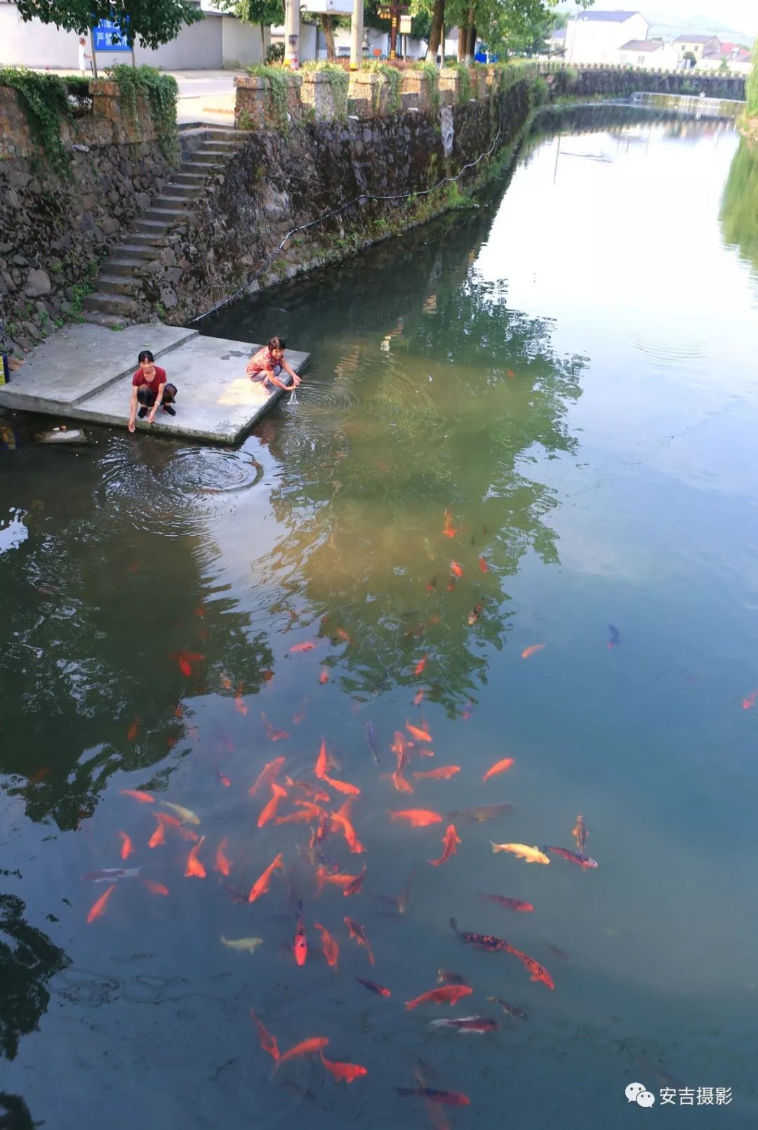 「慢城·分享」美丽乡村精品示范村——刘家塘村｜“蜗牛村”里生活慢