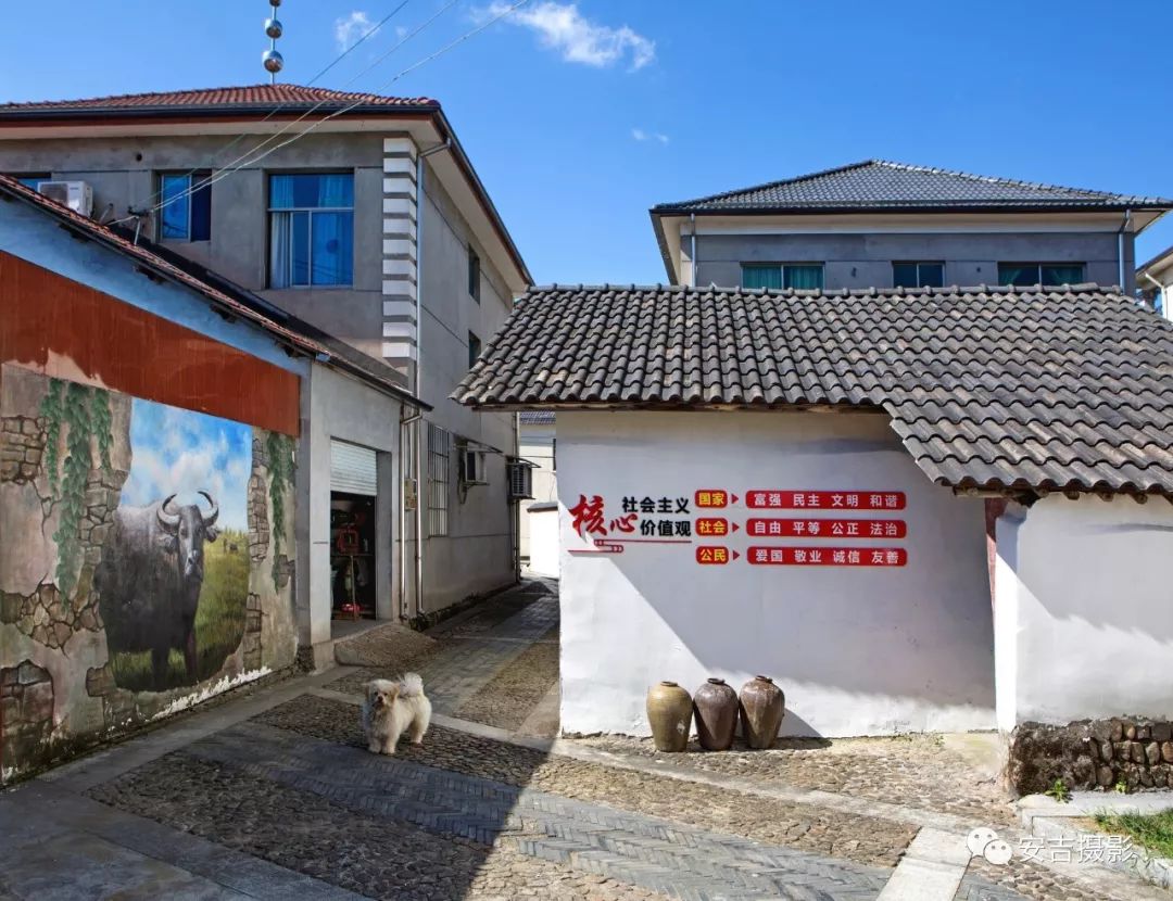 「慢城·分享」美丽乡村精品示范村——刘家塘村｜“蜗牛村”里生活慢