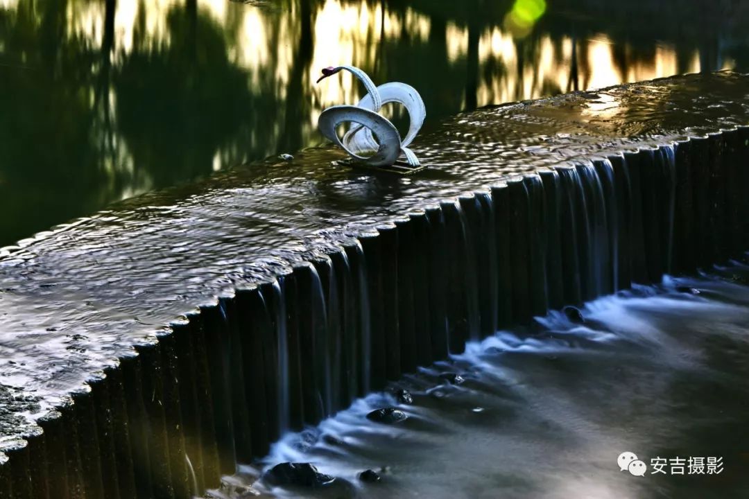 「慢城·分享」美丽乡村精品示范村——刘家塘村｜“蜗牛村”里生活慢